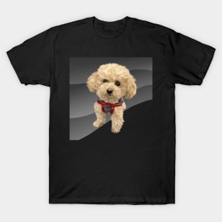 brown curly dog-vector art of the dog T-Shirt